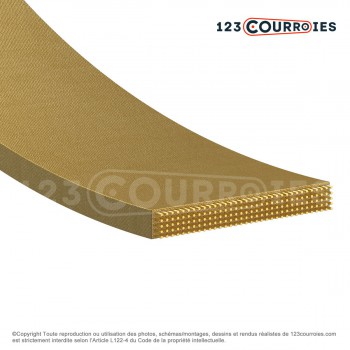 El modelo de Correa plana grapable CP3-11-21000 - CP3-11-21000