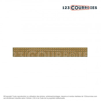 El modelo de Correa plana grapable CP3-30-21000 - CP3-30-21000