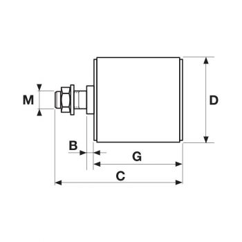 El modelo de Polea tensor poliamida RE5 - RE5