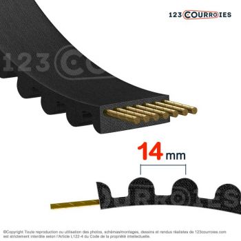 El modelo de Correa dentada simple 1610-14M55 - 1610-14M55
