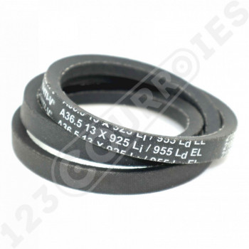 El modelo de Correa trapezoidal lisa Contitech Conti V A36.5 13 x 925 Li / 955 Ld - A36.5-CONTITECH