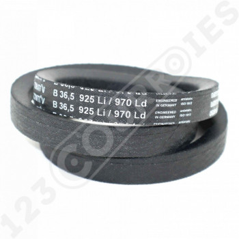 El modelo de Correa trapezoidal lisa Contitech Conti V B36.5 17 x 925 Li / 970 Ld - B36.5-CONTITECH