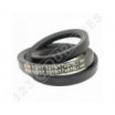 Correa trapezoidal lisa Texrope S84 B38.5 / 17 001044/17 x 975 Li