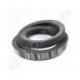 Correa trapezoidal lisa Texrope S84 C45.5 / 22 001268/22 x 1180 Li