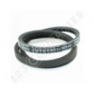 Correa trapezoidal lisa Contitech Conti V Z31.5 10 x 800 Li / 823 Ld