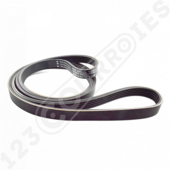 El modelo de Correa Poly-V estríada electrodoméstica Hutchinson 1306J5 - 1306J5-HUTCHINSON
