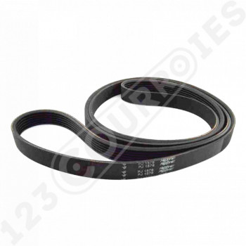 El modelo de Correa Hutchinson 6 PJ 1578 MAEL Flexonic - 1578J6MAEL-HUTCHINSON