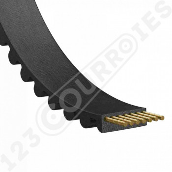 El modelo de Correa dentada simple 325-5M30 - 325-5M30