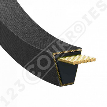 El modelo de Correa trapezoidal lisa Contitech Conti V B100 17 x 2540 Li / 2585 Ld - B100-CONTITECH