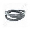 Correa trapezoidal lisa Contitech Conti V B53 17 x 1350 Li / 1395 Ld
