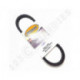 Correa de motonieve reforzada Ultimax MAX1118M3