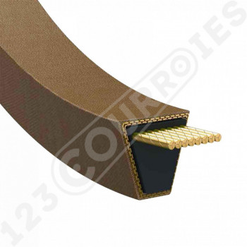 El modelo de Correa de cortacésped MTD 754-04244 - MTD75404244