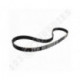 Correa maquina de coser NB0183000