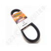 Correa de motonieve reforzada Ultimax XS801