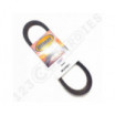 Correa de motonieve reforzada Ultimax XS809