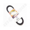 Correa de motonieve reforzada Ultimax XS821