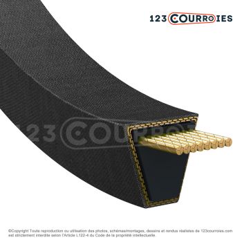 El modelo de Correa trapezoidal Bando Red-S II SA-58 - SA58-BANDO