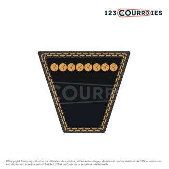 El modelo de Correa trapezoidal Bando Red-S II SA-22 - SA22-BANDO
