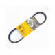 Correa trapezoidal dentada Contitech AVX10X666 La