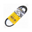 Correa trapezoidal dentada Contitech AVX10X795 La