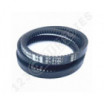 Correa trapezoidal dentada Optibelt VB 8X710 Li