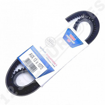 El modelo de Correa trapezoidal dentada Optibelt Marathon 1 AVX13X1075 La - AVX13X1075-OPTIBELT