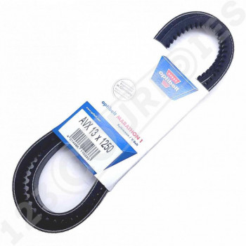 El modelo de Correa trapezoidal dentada Optibelt Marathon 1 AVX13X1250 La - AVX13X1250-OPTIBELT