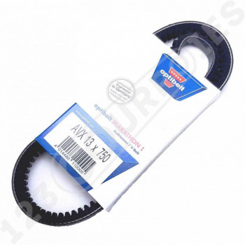 El modelo de Correa trapezoidal dentada Optibelt Marathon 1 AVX13X750 La - AVX13X750-OPTIBELT