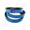 Correa trapezoidal dentada Contitech Conti V FO PIONEER XPA850 Ld