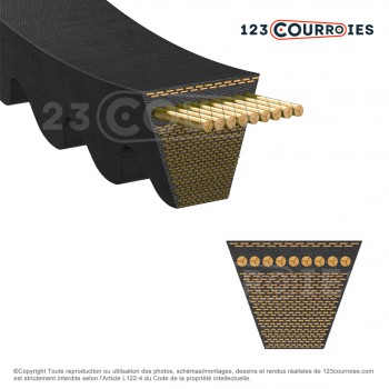 El modelo de Correa trapezoidal dentada Contitech Conti V FO PIONEER XPZ2287 Ld / 3VX900 - XPZ2287-CONTITECH