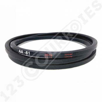 El modelo de Correa hexagonal AA81 - AA81