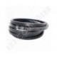 Correa hexagonal BB126