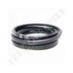 Correa hexagonal BB133