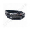 Correa hexagonal BB141