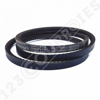El modelo de Correa trapezoidal dentada Contitech Conti V FO BX77 17 x 1961 Li / 2001 Ld - BX77-CONTITECH