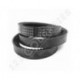 Correa trapezoidal dentada Contitech Conti V FO CX44 22 x 1128 Li / 1187 Ld
