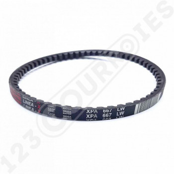El modelo de Correa trapezoidal dentada Mégadyne Linea X XPA667 Lw - XPA667-MEGADYNE