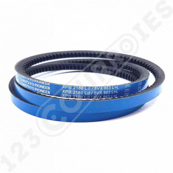 El modelo de Correa trapezoidal dentada Contitech Conti V FO BP XPB2180 Ld / 5VX863 - XPB2180-CONTITECH