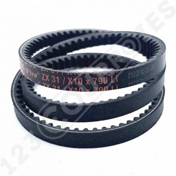 El modelo de Correa trapezoidal dentada ZX31 - ZX31
