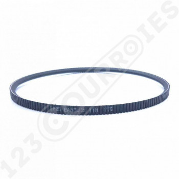 El modelo de Correa trapezoidal poliuretano Bando Banflex 11M775 - 11M775-BANDO