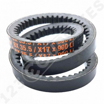 El modelo de Correa trapezoidal dentada BX35.5 - BX35.5