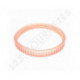 Correa de cepillo R81 / CE084