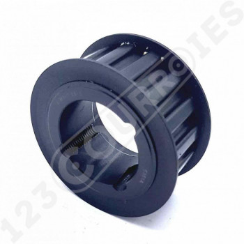 El modelo de Polea dentada para casquillo cónico PDH10016MA - PDH10016MA