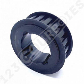 El modelo de Polea dentada para casquillo cónico PDH10020MA - PDH10020MA