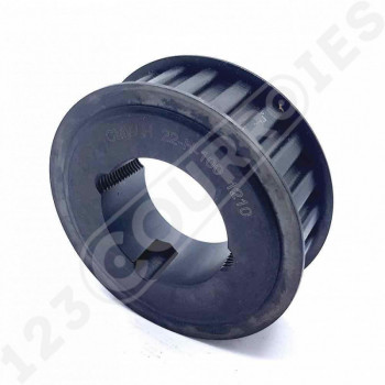 El modelo de Polea dentada para casquillo cónico PDH10022MA - PDH10022MA