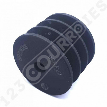 El modelo de Polea trapezoidal para agujero cilíndrico SPZ50/3 - SPZ50/3