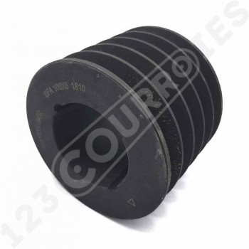 El modelo de Polea trapezoidal para casquillo cónico SPA100/5MA - SPA100/5MA