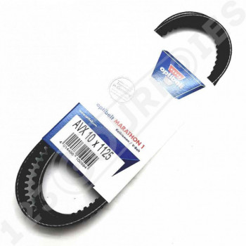 El modelo de Correa trapezoidal dentada Optibelt Marathon 1 AVX10X1125 La - AVX10X1125-OPTIBELT