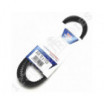 Correa trapezoidal dentada Optibelt Marathon 1 AVX10X1125 La