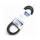Correa trapezoidal dentada Optibelt Marathon 1 AVX10X1184 La